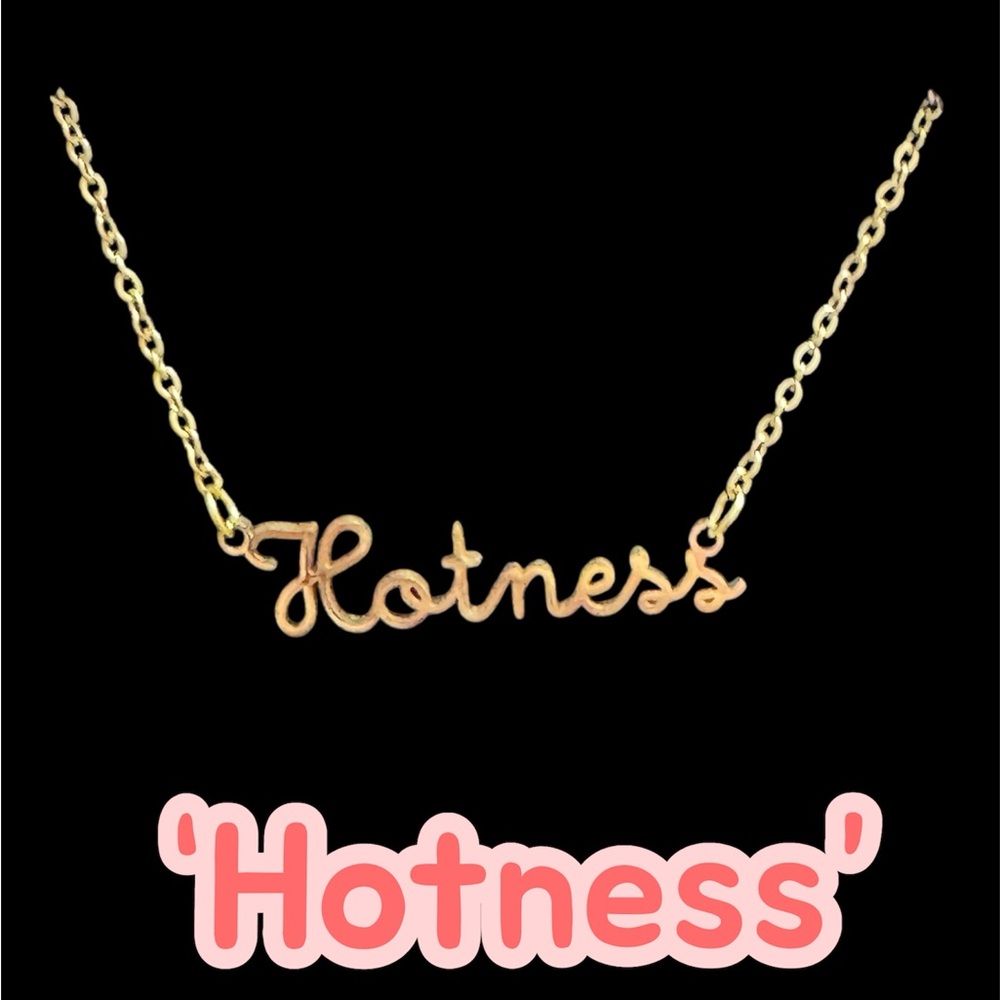 Snark by Steph – “Hotness” Stainless Steel Necklace 🔥